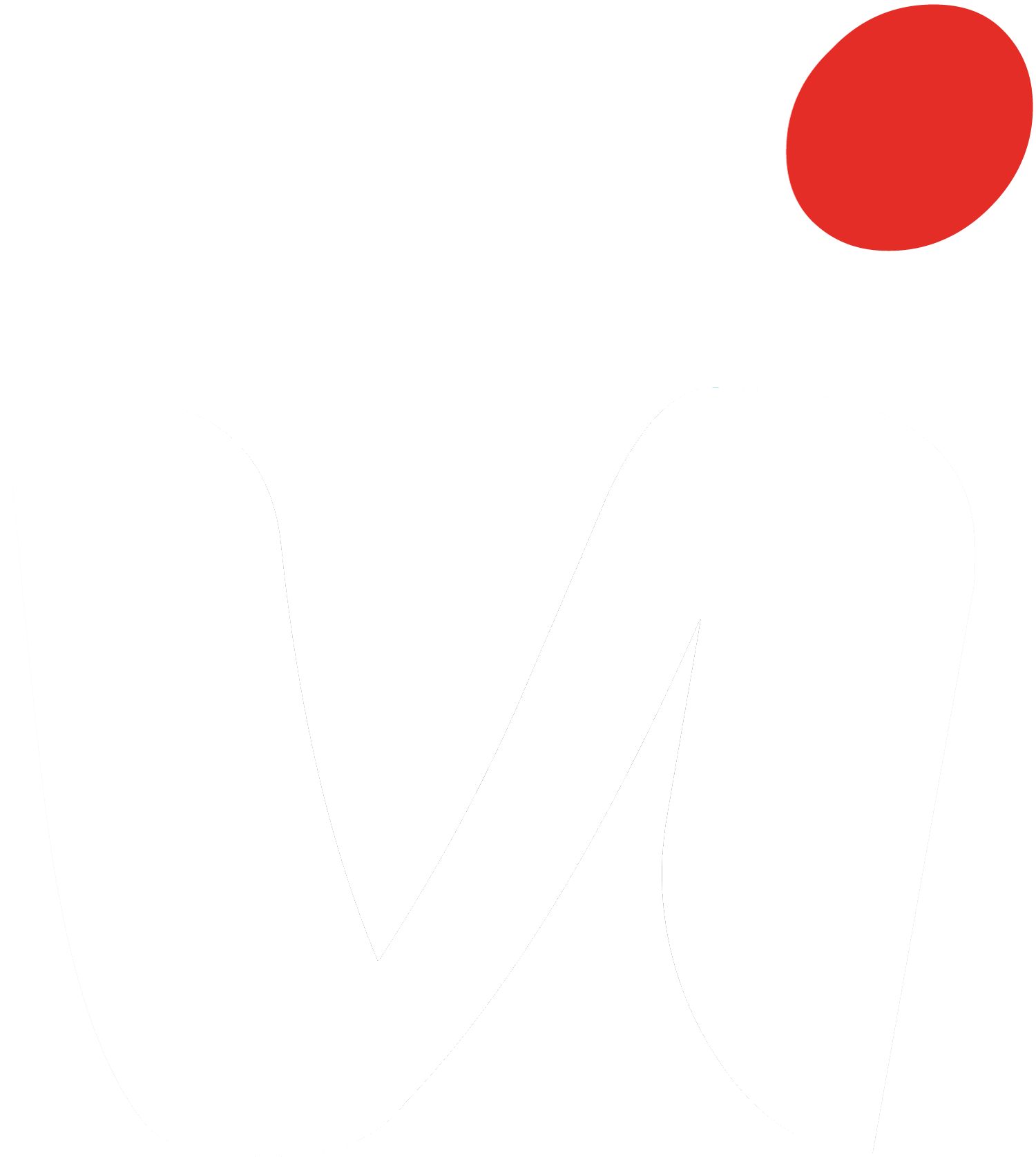 Vidu Media